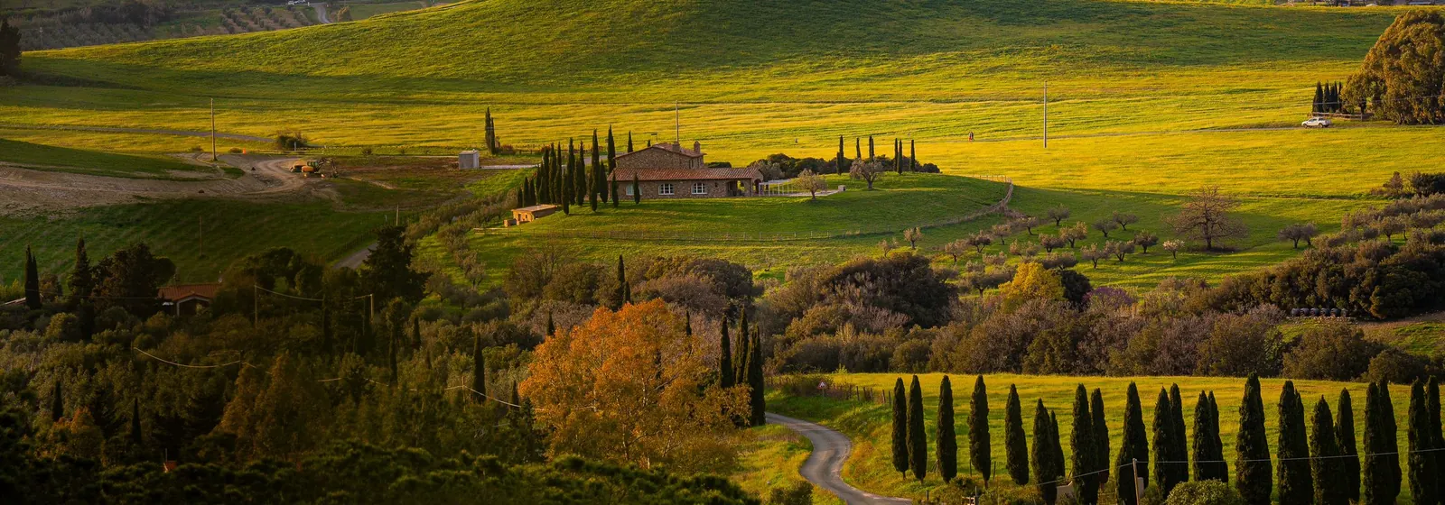 Rolling Tuscan hills and cypress trees near Pisa